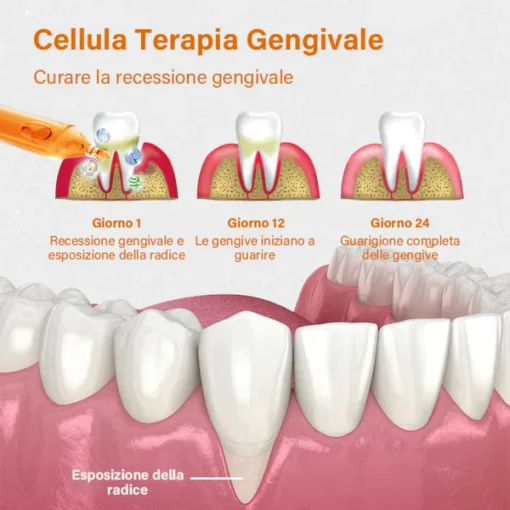 LOVILDS™ Gum Repair Treatment Ampoules