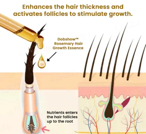 Dobshow™ Rosemary Hair Growth Serum