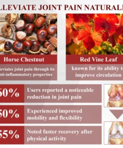 Fivfivgo™ Horse Chestnut Arthritis Massage Cream