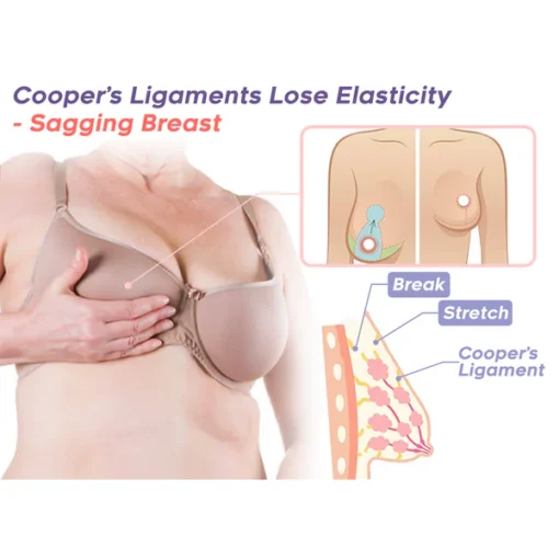 EMS Bust Massager Bra
