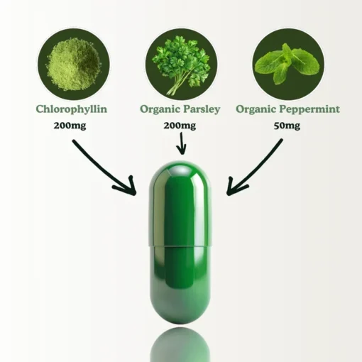 Deos Chlorophyll-Detox & Odor Care