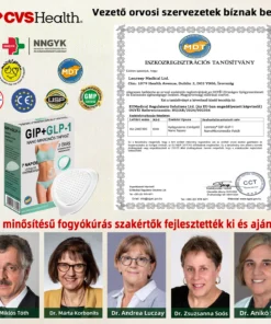 Lenreey® GIP+GLP-1 nano microneedle patch