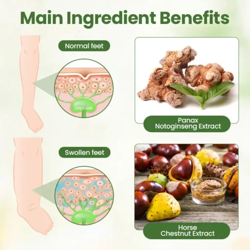Biancat™ Lymphatic Detox Herbal Cream | Relieves Circulatory Problems in 5 Minutes