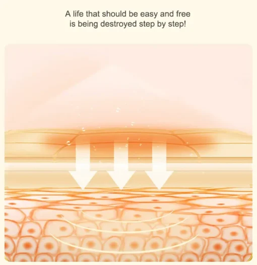 Lymph Care Cream